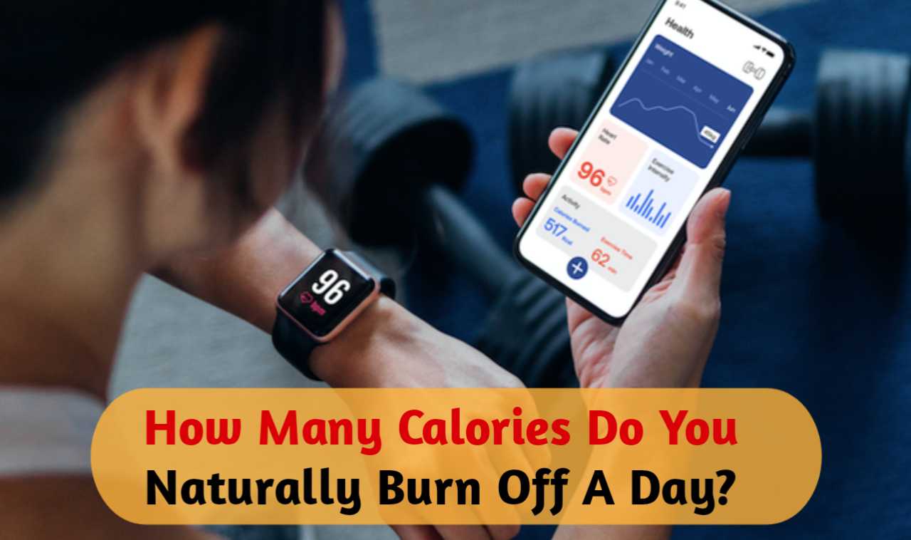 How Many Calories Do You Naturally Burn Off A Day?
